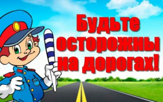 Встреча с инспектором дорожно-постовой службы Встреча с инспектором дорожно-постовой службы.
